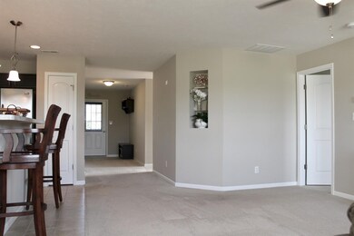 15731 W 101st Place, Cedar Lake, IN 46303 - photo 7