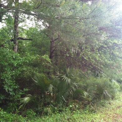 0 Hunters Trace unit 24A 256279, Crawfordville, FL 32327 - photo 5