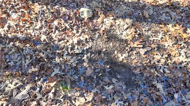 000 SE 1151, Dallas Township, MO 64738 - photo 3