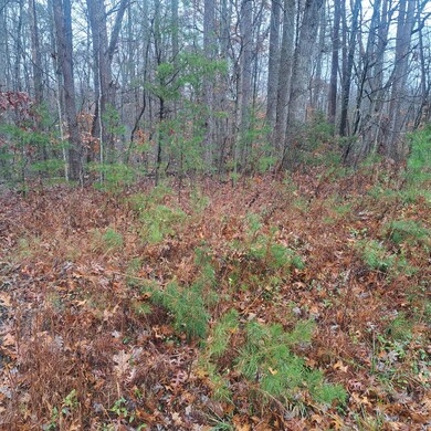 8100 Somerset Rd, London, KY 40741 - photo 2