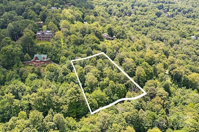 17 Mountain Gait Dr unit 17, Mars Hill, NC 28754 - photo 7