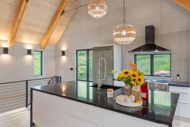 737 W Galena Ave, Telluride, CO 81320 - photo 4