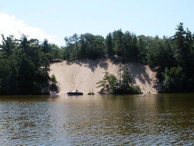 Brevort Lake Sand Dunes