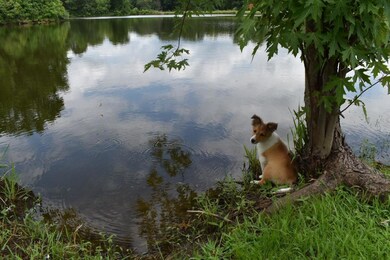 serenity