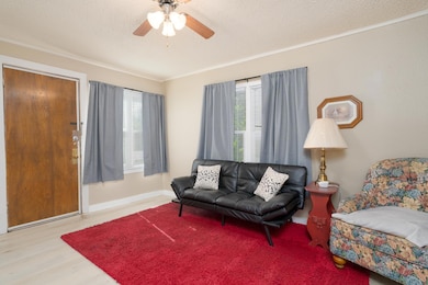 Living room featuring plenty of natural light, orn