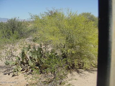 Desert behind