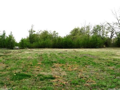 1800 W Dewitt Henry Dr, Beebe, AR 72012 - photo 5