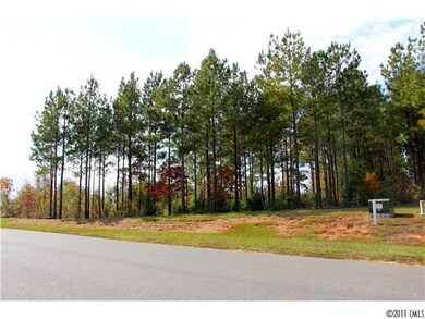 Land/Lot - Standing on Restless One Lane looking a