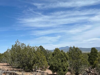 12 Lots A&c Off of Keller Place, Ash Fork, AZ 86320 - photo 5