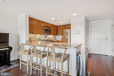 Residences at Park Place unit 514, Annapolis, MD 21401 - photo 6