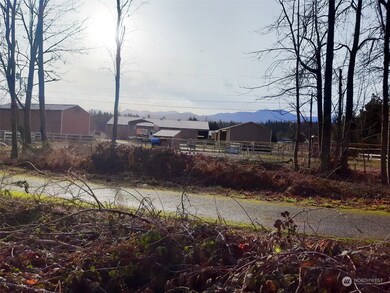 Your equine neighbors to the south