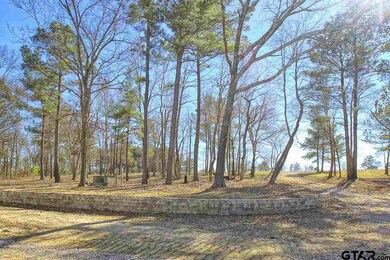 20735 County Road 26, Tyler, TX 75705 - photo 6