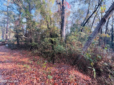 1574 Hollywood St SW, Shallotte, NC 28470 - photo 4