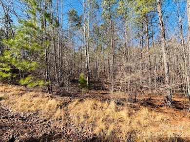 0 Creekside Cir unit 110 CAR4219289, Rutherfordton, NC 28139 - photo 7