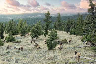 315 Four Point Rd, Big Sky, MT 59716 - photo 2