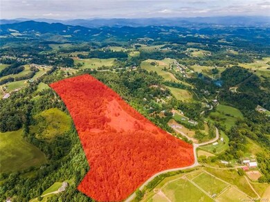 000 Turkey Creek Rd, Leicester, NC 28748 - photo 4