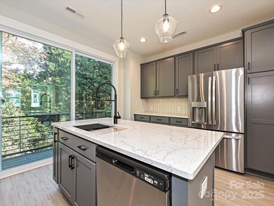 1419 Collier Walk Ave unit CSW0208, Charlotte, NC 28205 - photo 3