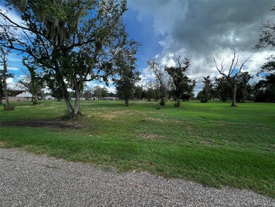 0 N County Road 707 unit 35804445, Brazoria, TX 77422 - photo 4
