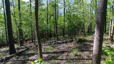 427 Old Rd S, Duncan, SC 29334 - photo 2