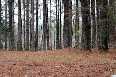 73 acres County Road 93, Bankston, AL 35542 - photo 5