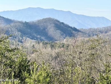 1033 Shell Mountain Rd, Sevierville, TN 37876 - photo 3