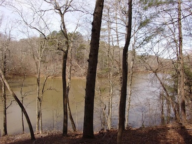 363 Lake Rd, Dawsonville, GA 30534 - photo 7