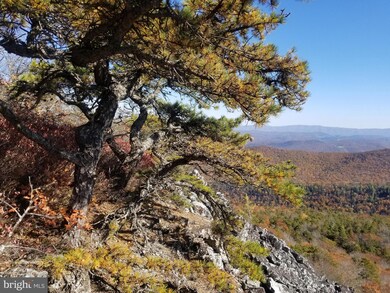 17 Kile Knob, Franklin, WV 26807 - photo 6