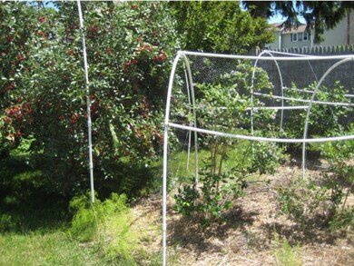 1006 Clay St, Manchester, NH 03103 - photo 7