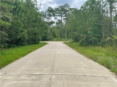 Looking east from the front of the lot.