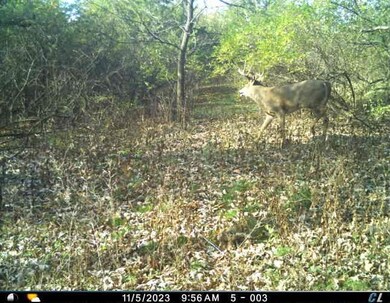 15.1 ac Wisconsin 78, Blanchardville, WI 53516 - photo 6