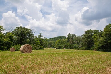 0 Bear Creek Pike unit RTC2819507, Columbia, TN 38401 - photo 3