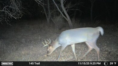 12120 Colorado 59, Sedgwick, CO 80749 - photo 5