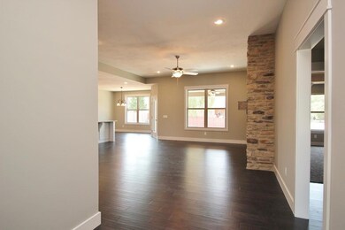 808 E Roubidoux St, Nixa, MO 65714 - photo 4