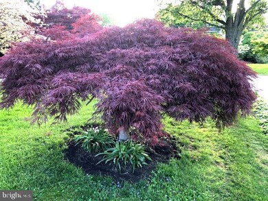 712 W Brookhaven Rd, Wallingford, PA 19086 - photo 5