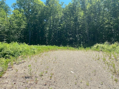 Lot WA-9 Smith Cove Rd, East Central Washington, ME 04657 - photo 4