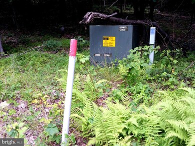 0 Appalachian Trail Rd, Blue Ridge, VA - photo 5