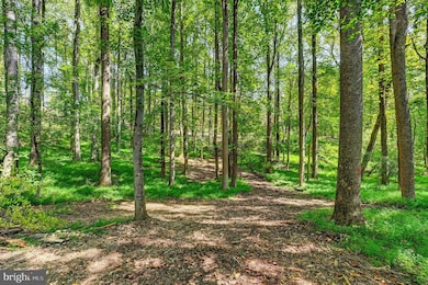 14498 Western Rd, Sparks Glencoe, MD 21152 - photo 4