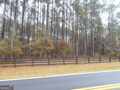 +/- 7 ACRES Youth Jersey Rd, Covington, GA 30014 - photo 7