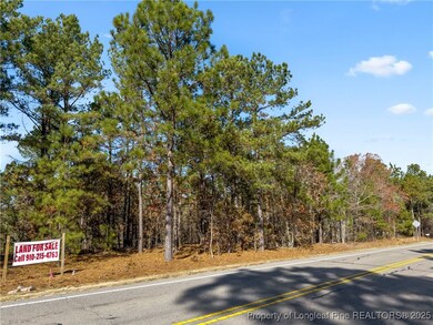 2746 Union Church Rd, Carthage, NC 28327 - photo 2