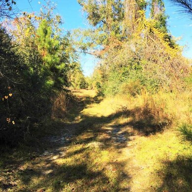 Lot 13 Martin Farms Rd, Crawfordville, FL 32327 - photo 6