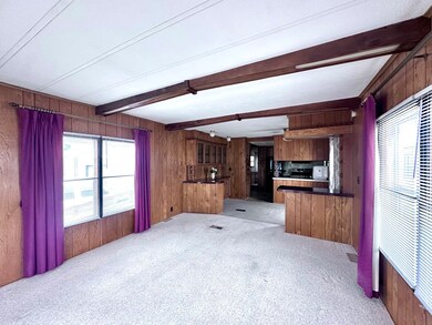 150 Maple Ln, Manteno, IL 60950 - photo 6