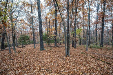 Tbd Whispering Hill Dr, Pine A Township, MO 65611 - photo 7