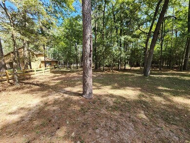 107 Sundew Ct, Magnolia, TX 77355 - photo 7