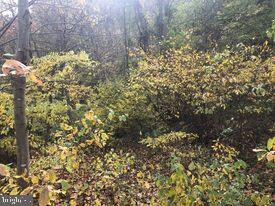 15 ACRES River Rd, Unger, WV 25411 - photo 3