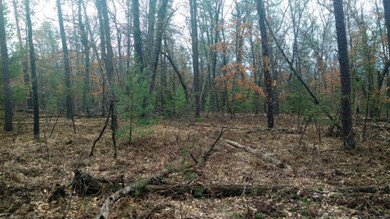 VL Par B S Peacock Trail, Baldwin, MI 49304 - photo 3