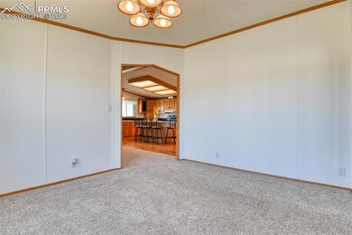 10120 Horseback Trail, Peyton, CO 80831 - photo 4