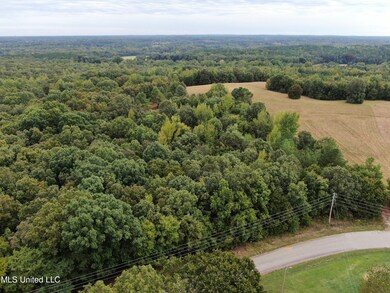 DJI_0124