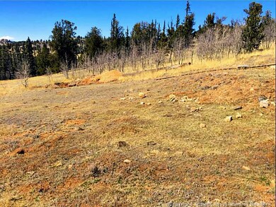 Land/Lot.