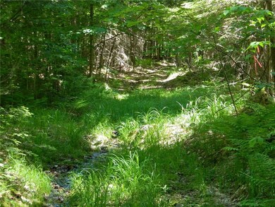 0 Wards Hill Rd unit 1292819, Baldwin, ME 04091 - photo 5