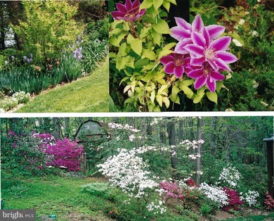 3208 Shoreview Rd, Triangle, VA 22172 - photo 2